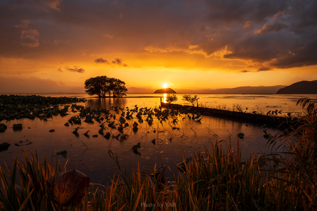 琵琶湖 夕景