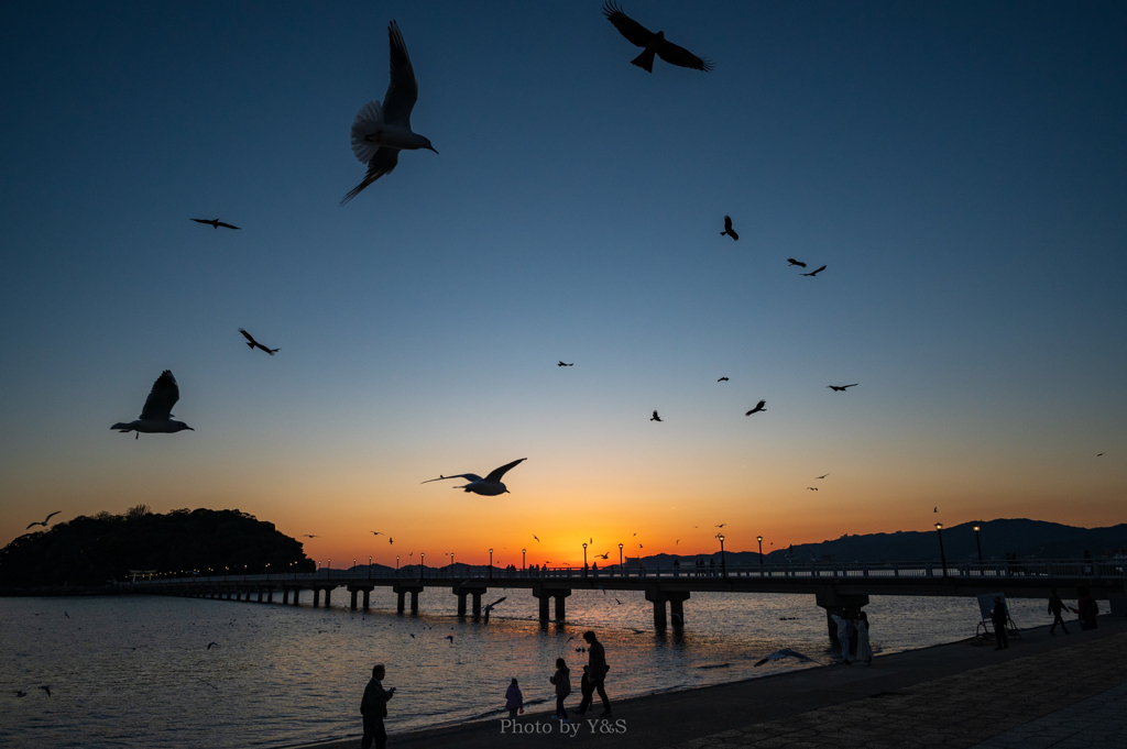 竹島夕景