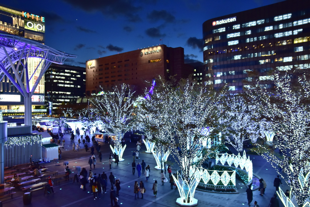 Hakata Night