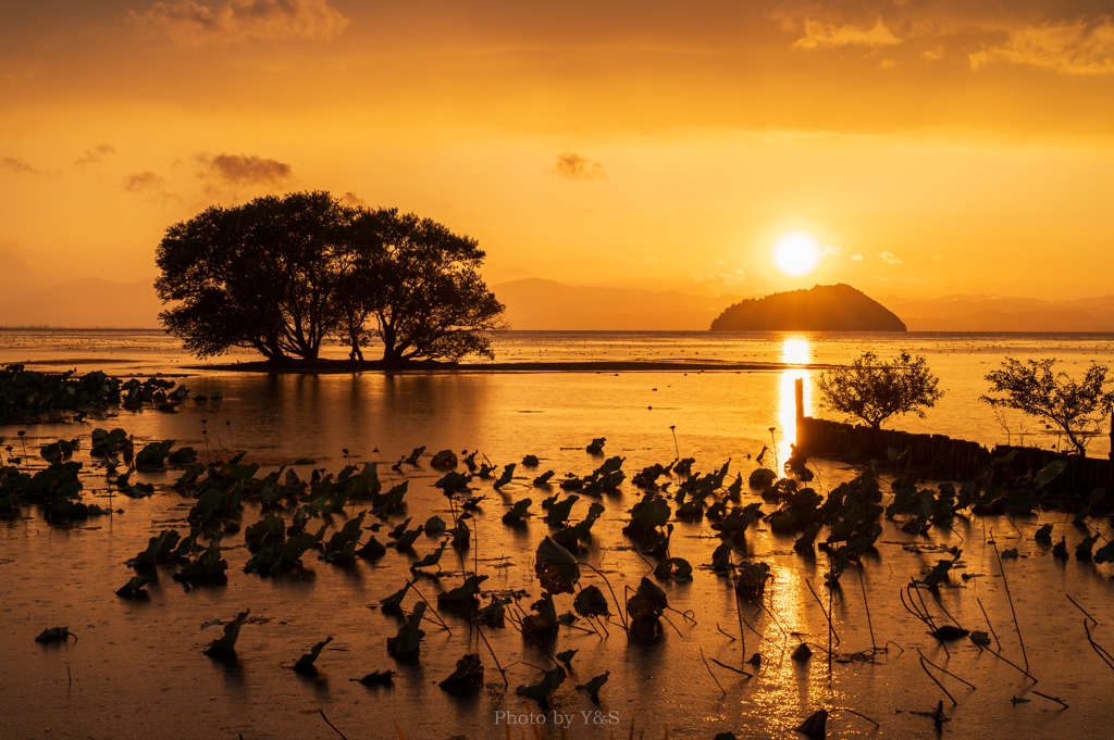 琵琶湖 夕景 Ⅱ