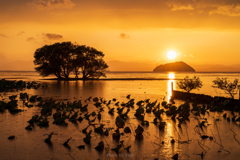 琵琶湖 夕景 Ⅱ