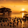 琵琶湖 夕景 Ⅱ