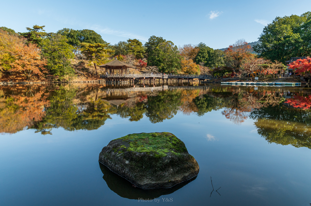 苔岩