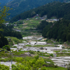 棚田 ～四谷の千枚田～