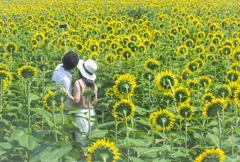 幸せな時間