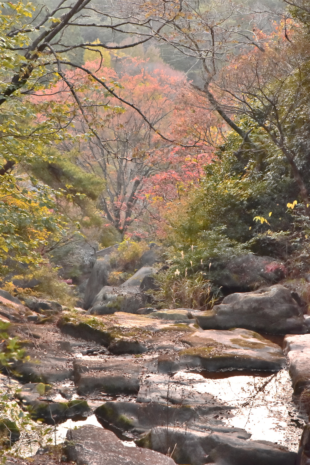 鬼岩の秋