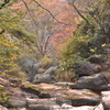 鬼岩の秋