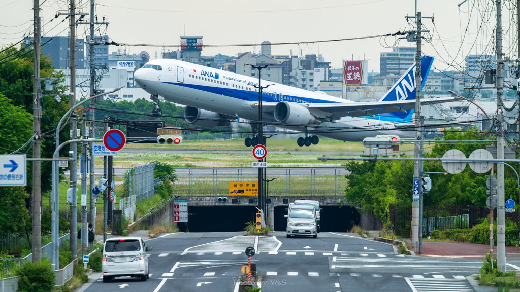 やっと撮れた！