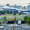 やっと撮れた！