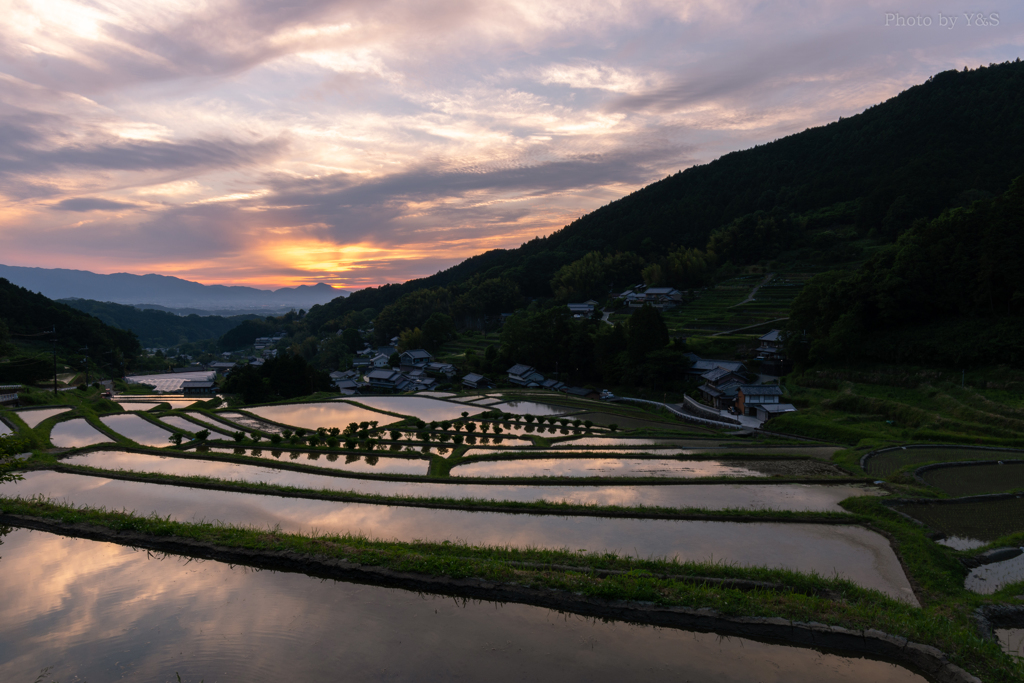 棚田夕景