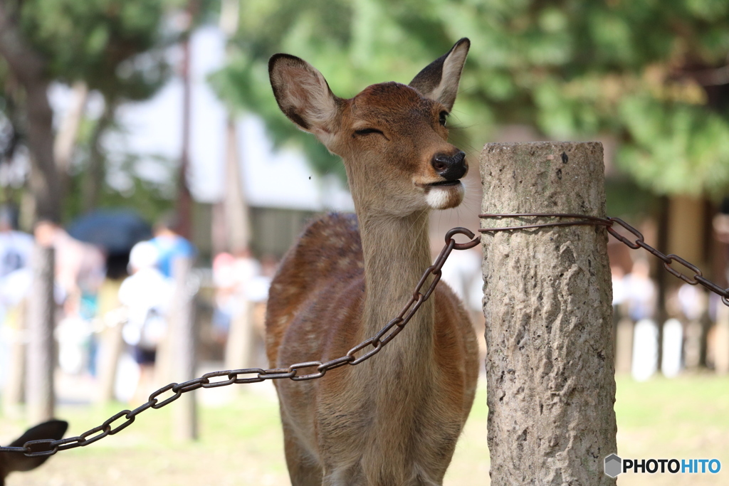 ウィンク