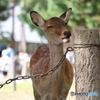 ウィンク