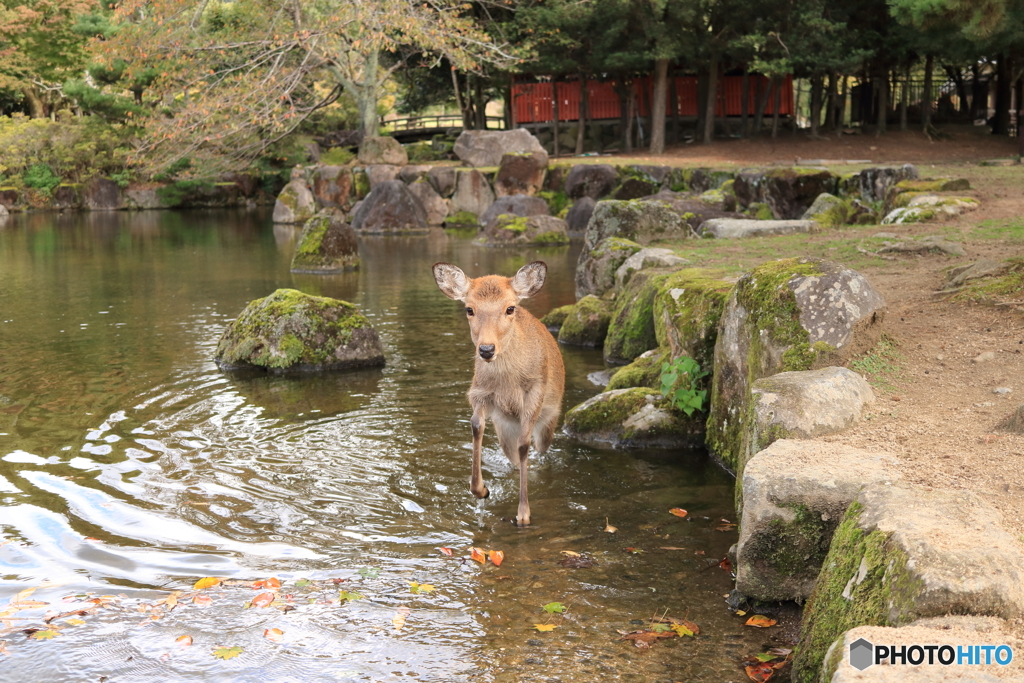 見つめる先には