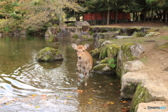 見つめる先には