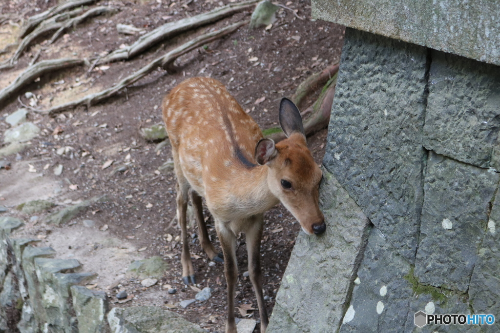 むぎゅ