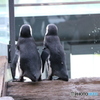 なかよし