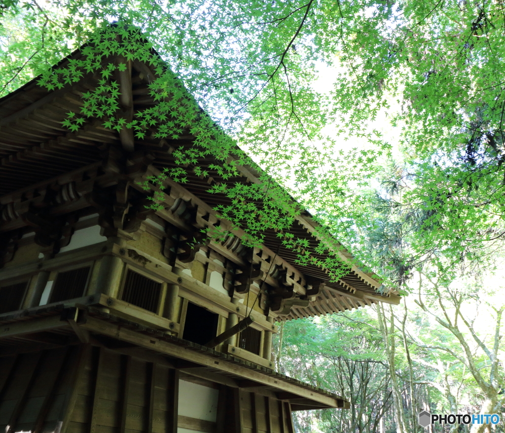 鶯滝宝光山 歓禅院　鐘楼