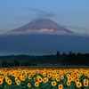 夏富士の目覚め