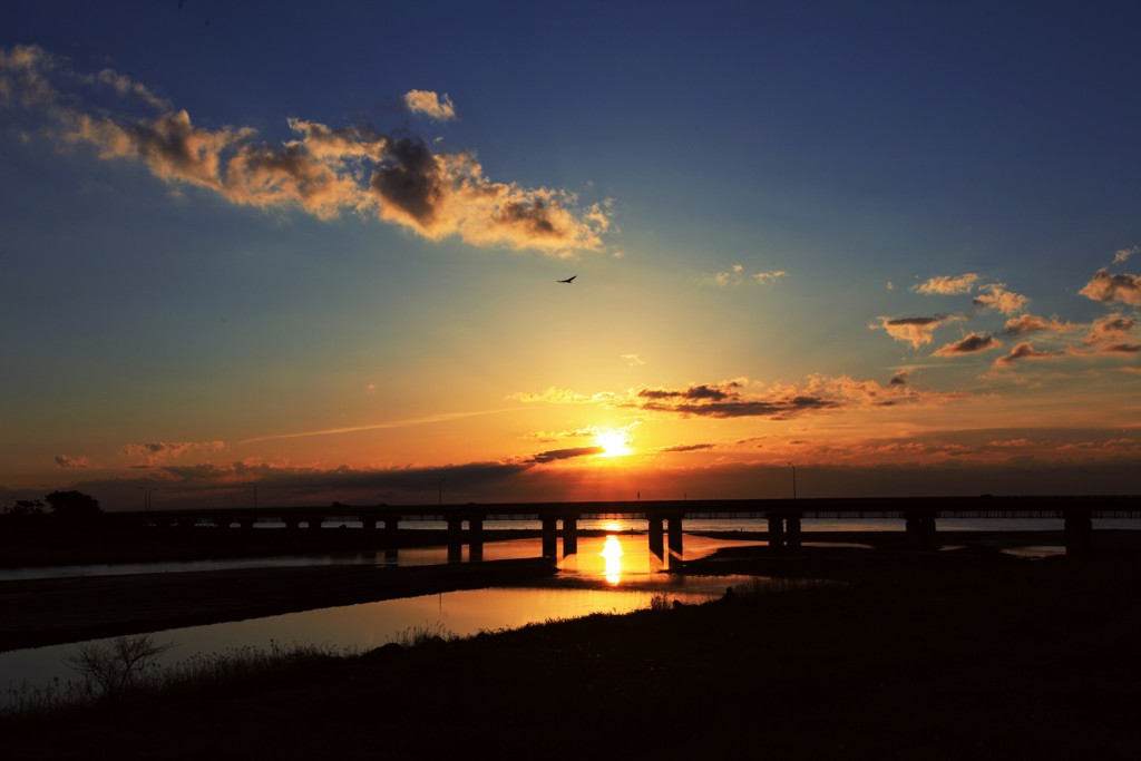 湘南大橋から昇る朝日