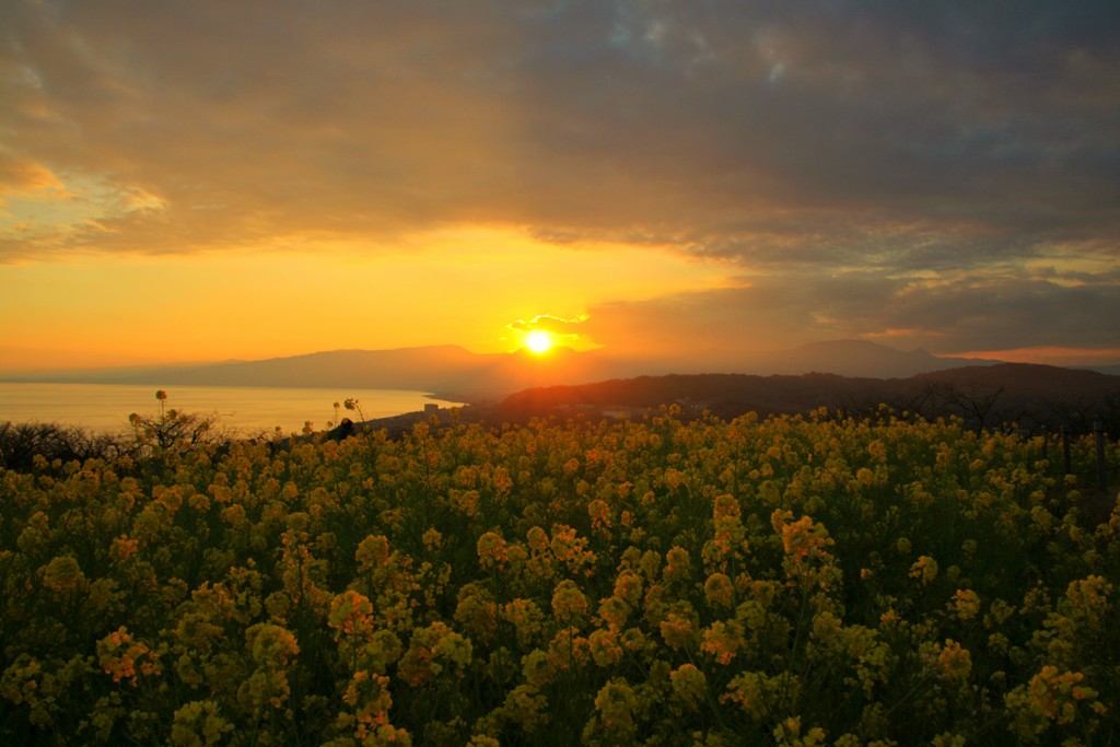 吾妻山公園の夕暮れ
