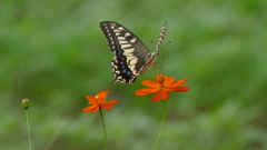 あけぼの山農業公園（平成28年9月17日現在）