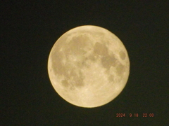 2024/09/18（水）・コーンムーン