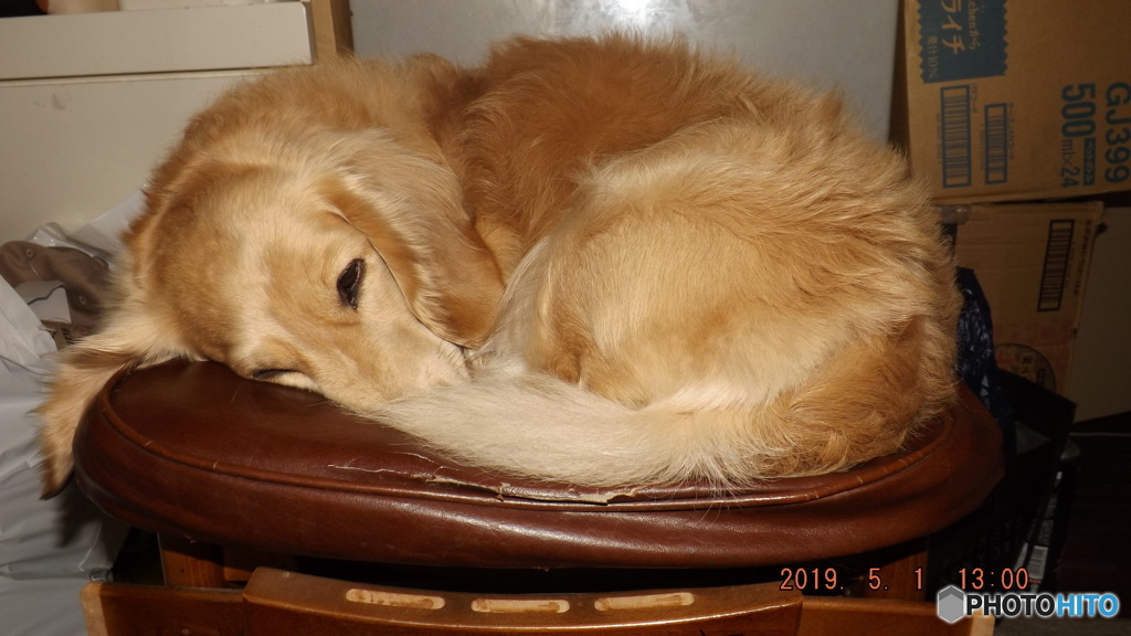 2019/05/01（水・祝）・コロン