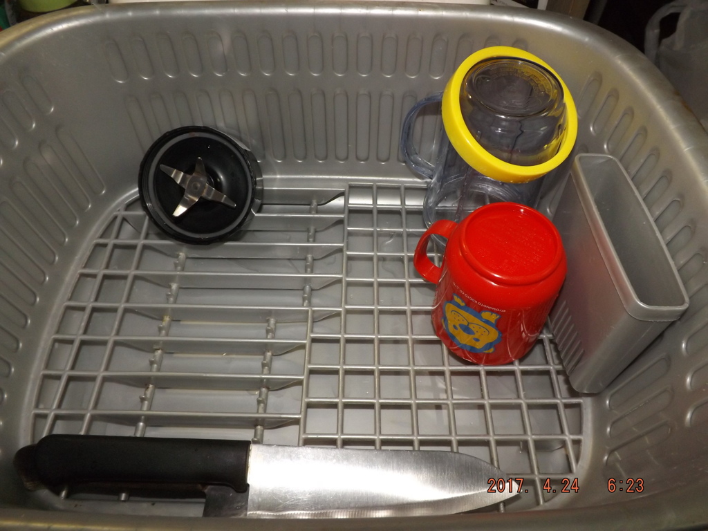 朝食後の籠の中