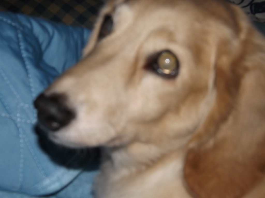 2023/09/22（金）・本日の僕(#^^#)