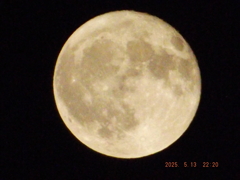 2025/05/13（火）・フラワームーン