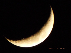 2017/02/01（水）のお月様