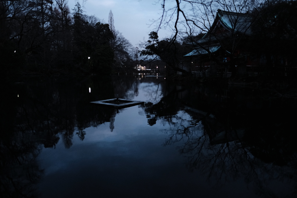 井の頭公園夜景。