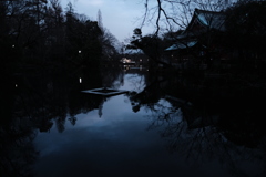 井の頭公園夜景。