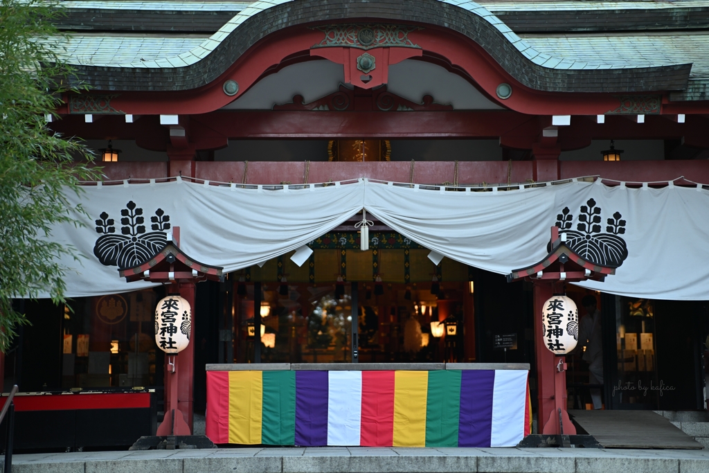 朝の静けさに凛とする