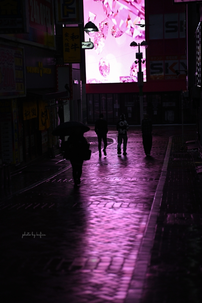光に沈む