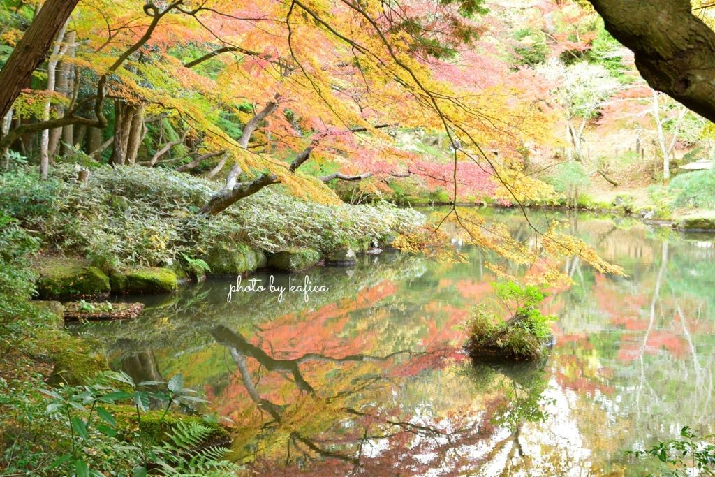 colorful reflection
