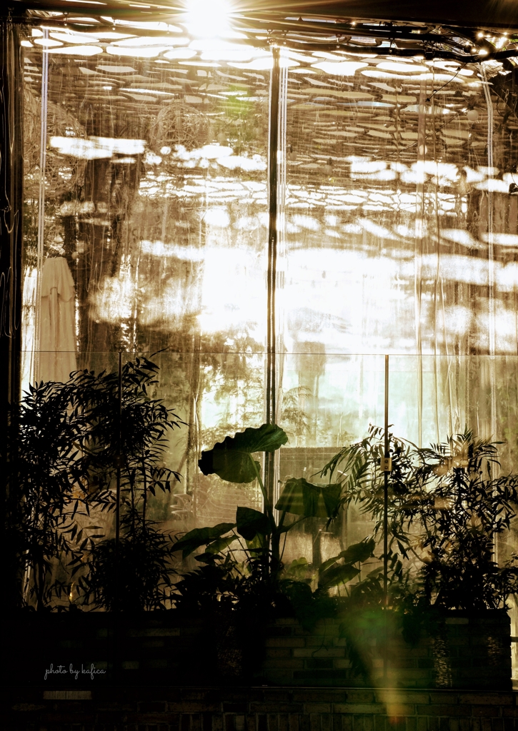 one winter morning