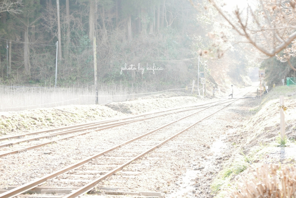 winter rail
