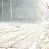 winter rail