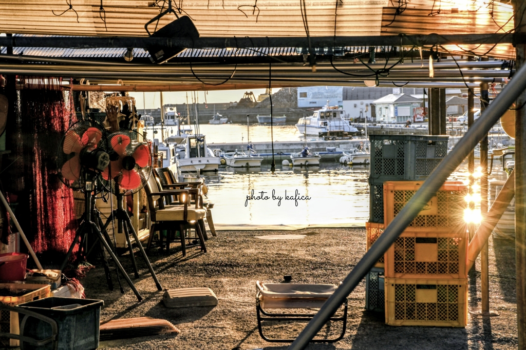 漁港の眩しい朝