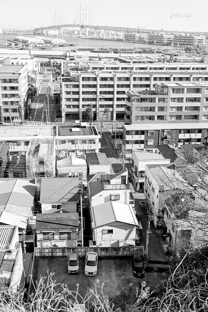 丘から見下ろす横浜の街