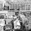 丘から見下ろす横浜の街