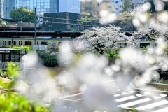 季節は巡る