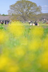 春の陽気に賑わう