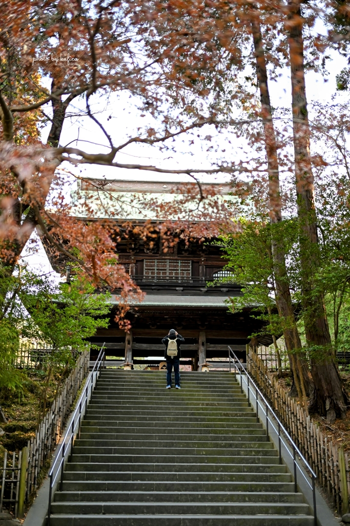 早起きは三文の徳