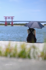 夏が来る