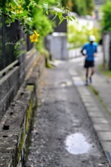 雨上がりに