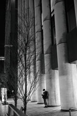 yokohama night walk