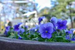 12月の公園で♬