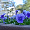 12月の公園で♬